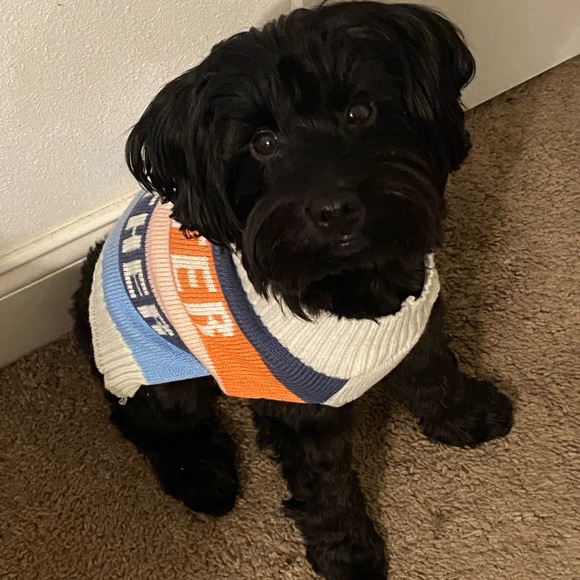 Meet your Posher - Picture 1 of 1